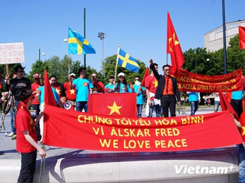 Вьетнамцы во многих странах мира провели антикитайские митинги - ảnh 2